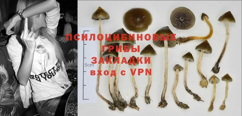 Галлюциногенные грибы Magic Shrooms  Неман 